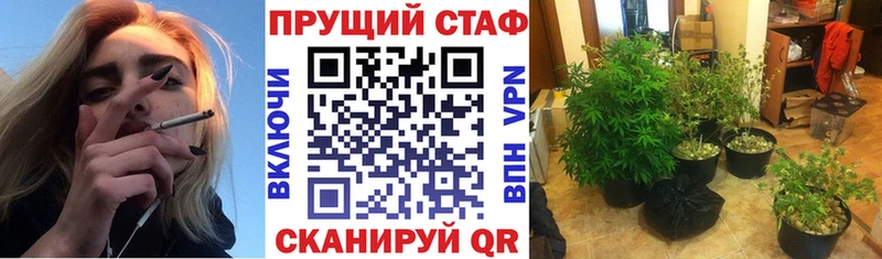 Конопля Стрежевой