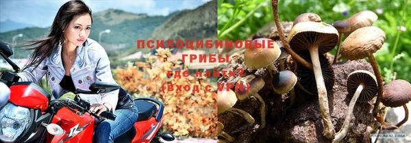 марки lsd Новодвинск
