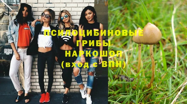 спиды Ветлуга