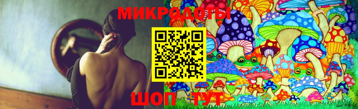 Псилоцибиновые грибы прущие грибы Стрежевой